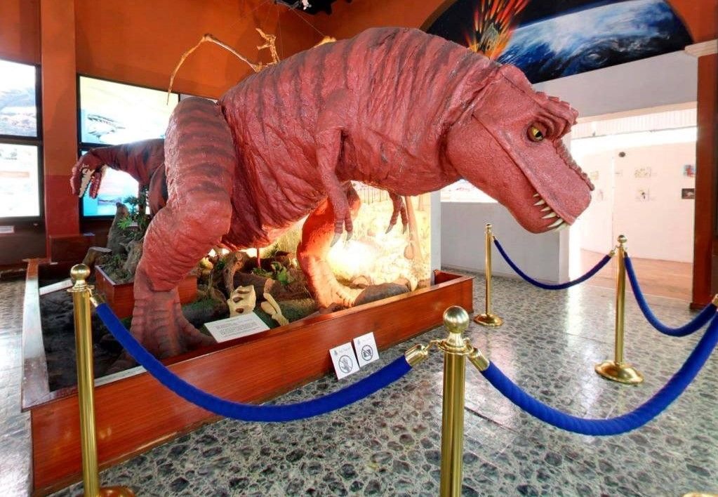 Museo de Historia Natural